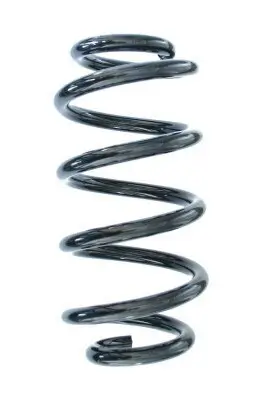 Fahrwerksfeder Hinterachse SPIDAN 88925