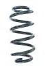 Fahrwerksfeder Hinterachse SPIDAN 88925
