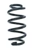 Fahrwerksfeder Hinterachse SPIDAN 88926