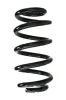 Fahrwerksfeder Hinterachse SPIDAN 88928