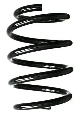 Fahrwerksfeder Vorderachse SPIDAN GKNW10001