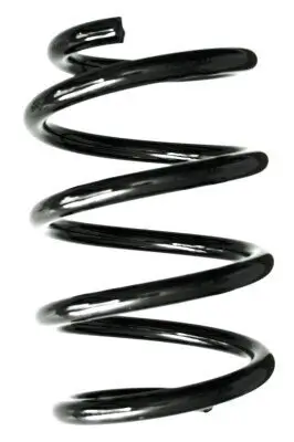 Fahrwerksfeder Vorderachse SPIDAN GKNW10002