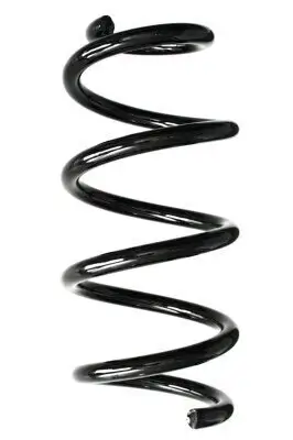 Fahrwerksfeder Vorderachse SPIDAN GKNW10008