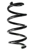 Fahrwerksfeder Vorderachse SPIDAN GKNW10008