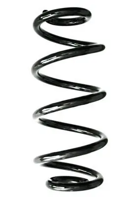 Fahrwerksfeder Hinterachse SPIDAN GKNW10009