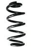 Fahrwerksfeder Hinterachse SPIDAN GKNW10010