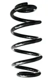 Fahrwerksfeder Hinterachse SPIDAN GKNW10010