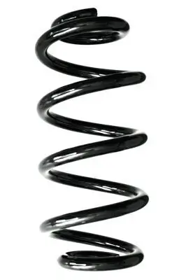 Fahrwerksfeder Hinterachse SPIDAN GKNW10010 Bild Fahrwerksfeder Hinterachse SPIDAN GKNW10010