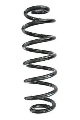 Fahrwerksfeder Hinterachse SPIDAN GKNW10017