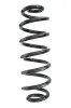 Fahrwerksfeder Hinterachse SPIDAN GKNW10017