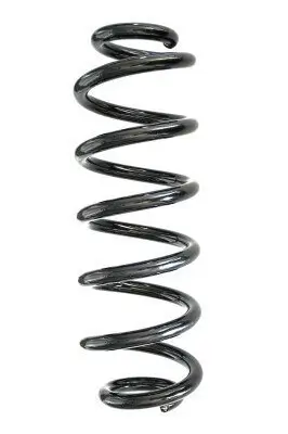 Fahrwerksfeder Hinterachse SPIDAN GKNW10019