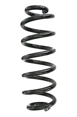 Fahrwerksfeder Hinterachse SPIDAN GKNW10020