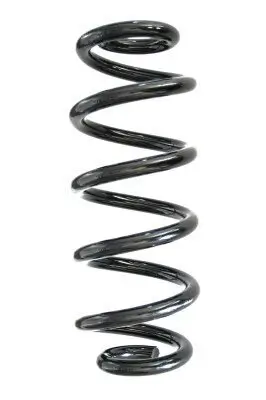 Fahrwerksfeder Hinterachse SPIDAN GKNW10021