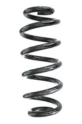 Fahrwerksfeder Hinterachse SPIDAN GKNW10022