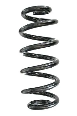 Fahrwerksfeder Hinterachse SPIDAN GKNW10023