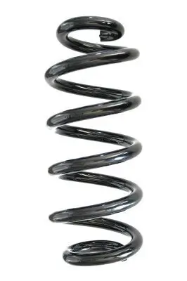 Fahrwerksfeder Hinterachse SPIDAN GKNW10024 Bild Fahrwerksfeder Hinterachse SPIDAN GKNW10024