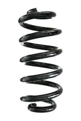 Fahrwerksfeder Hinterachse SPIDAN GKNW10025