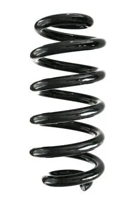 Fahrwerksfeder Hinterachse SPIDAN GKNW10026