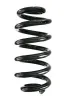 Fahrwerksfeder Hinterachse SPIDAN GKNW10026