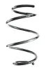 Fahrwerksfeder Vorderachse SPIDAN GKNW10027