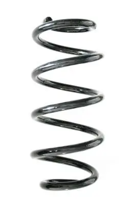 Fahrwerksfeder Hinterachse SPIDAN GKNW10029