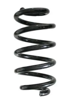 Fahrwerksfeder Hinterachse SPIDAN GKNW10031