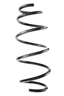 Fahrwerksfeder Vorderachse SPIDAN GKNW10035
