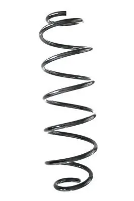 Fahrwerksfeder Hinterachse SPIDAN GKNW10036