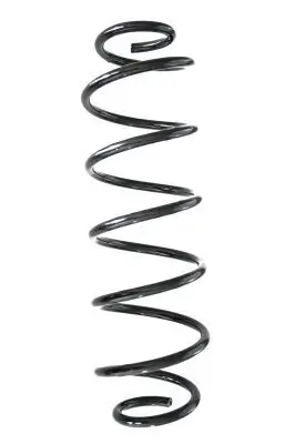 Fahrwerksfeder Hinterachse SPIDAN GKNW10037