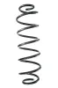 Fahrwerksfeder Hinterachse SPIDAN GKNW10037