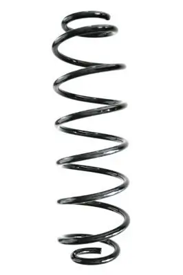 Fahrwerksfeder Hinterachse SPIDAN GKNW10038 Bild Fahrwerksfeder Hinterachse SPIDAN GKNW10038