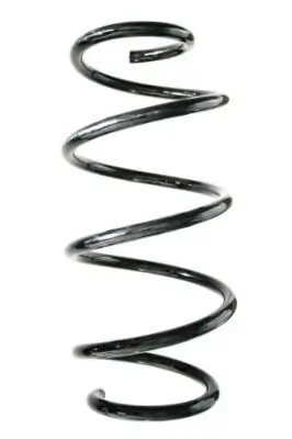 Fahrwerksfeder Vorderachse SPIDAN GKNW10041 Bild Fahrwerksfeder Vorderachse SPIDAN GKNW10041