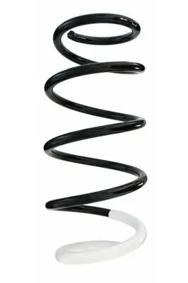 Fahrwerksfeder Vorderachse SPIDAN GKNW10042 Bild Fahrwerksfeder Vorderachse SPIDAN GKNW10042