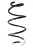 Fahrwerksfeder Vorderachse SPIDAN GKNW10043