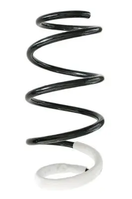 Fahrwerksfeder Vorderachse SPIDAN GKNW10046