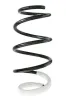 Fahrwerksfeder Vorderachse SPIDAN GKNW10046