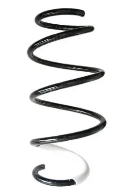 Fahrwerksfeder Vorderachse SPIDAN GKNW10048 Bild Fahrwerksfeder Vorderachse SPIDAN GKNW10048