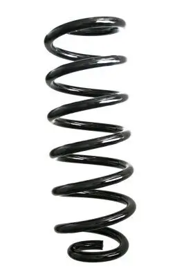 Fahrwerksfeder Hinterachse SPIDAN GKNW10049