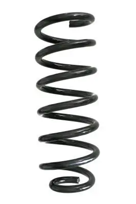 Fahrwerksfeder Hinterachse SPIDAN GKNW10050