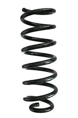 Fahrwerksfeder Hinterachse SPIDAN GKNW10052