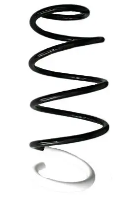 Fahrwerksfeder Vorderachse SPIDAN GKNW10054