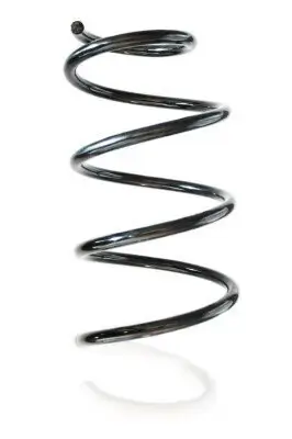 Fahrwerksfeder Vorderachse SPIDAN GKNW10055 Bild Fahrwerksfeder Vorderachse SPIDAN GKNW10055