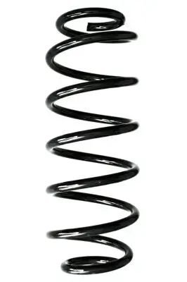 Fahrwerksfeder Hinterachse SPIDAN GKNW10057