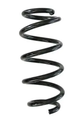 Fahrwerksfeder Hinterachse SPIDAN GKNW10062