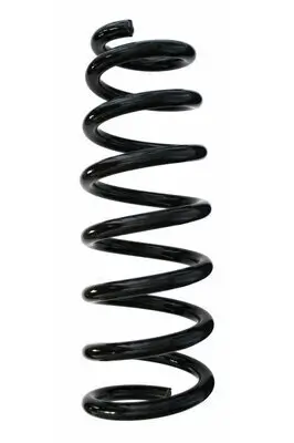 Fahrwerksfeder Vorderachse SPIDAN GKNW10069
