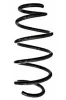 Fahrwerksfeder Vorderachse SPIDAN GKNW10076