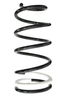 Fahrwerksfeder Hinterachse SPIDAN GKNW10078