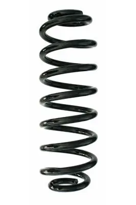 Fahrwerksfeder Hinterachse SPIDAN GKNW10083