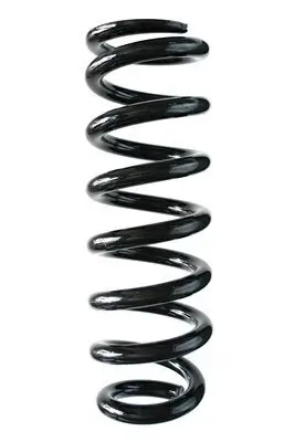 Fahrwerksfeder Vorderachse SPIDAN GKNW10089