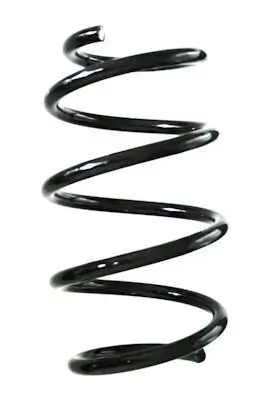 Fahrwerksfeder Vorderachse SPIDAN GKNW10092